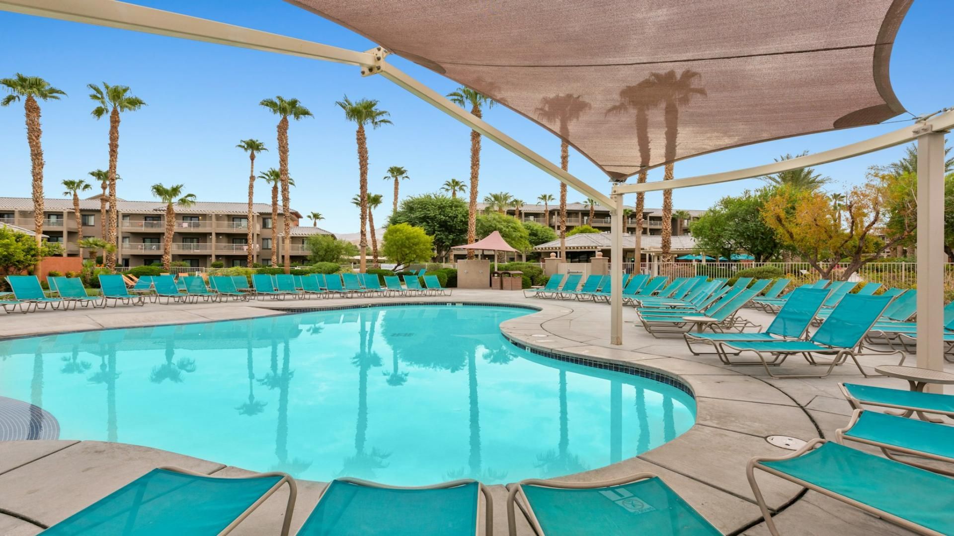 Une piscine avec des chaises longues et des palmiers.