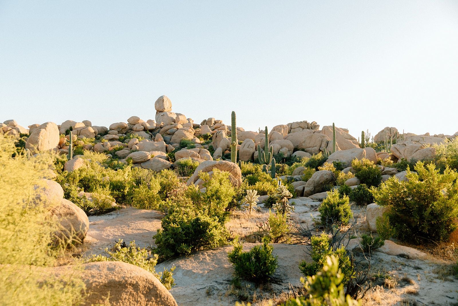 Wüstenlandschaft mit großen Felsen, Kakteen und vereinzelter Vegetation.