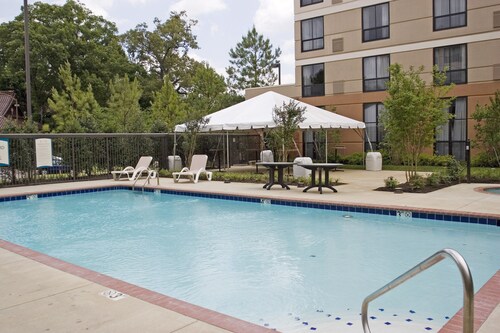 Studio Suite w/ Roll-in Shower | Free Breakfast!