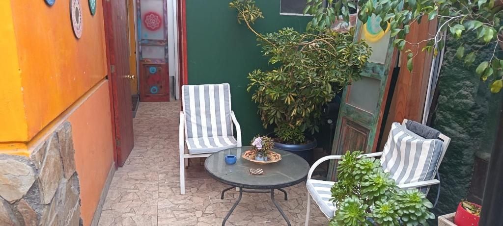 An outdoor seating area with two chairs and a table, surrounded by potted plants and a green wall.