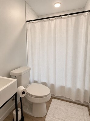 Bathroom - Midtown Gem Near Downtown (Detroit)
