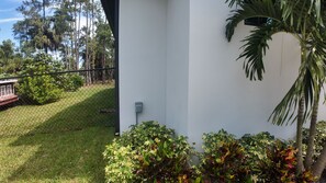 A white building with a fenced yard, a small house, and various plants.