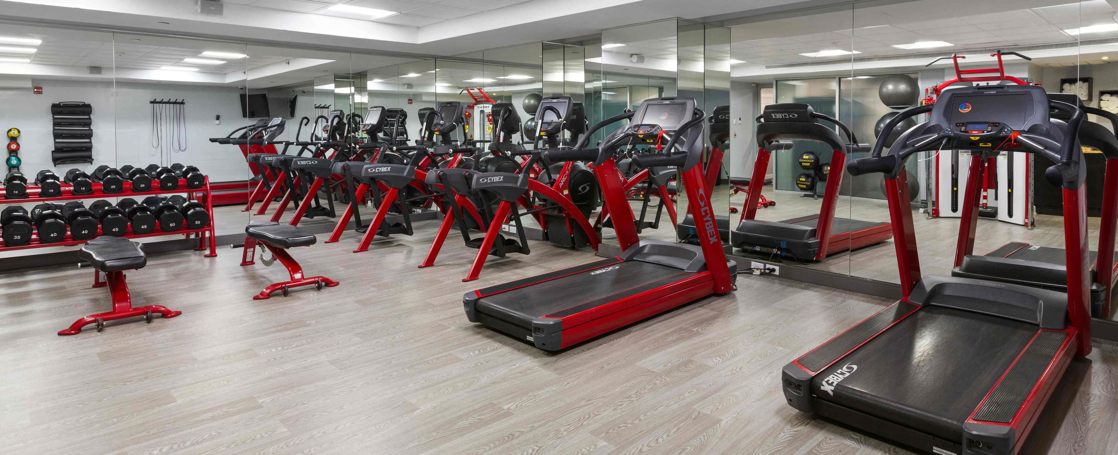 A gym with treadmills, ellipticals, and free weights.