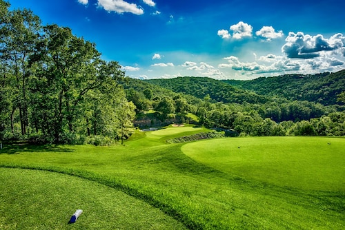 The Branson Bunker - Hot Tub + Golf + minutes from Silver Dollar City