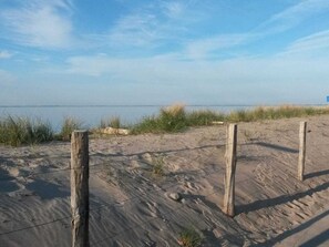 Una playa arenosa con postes de madera y una cerca de alambre.