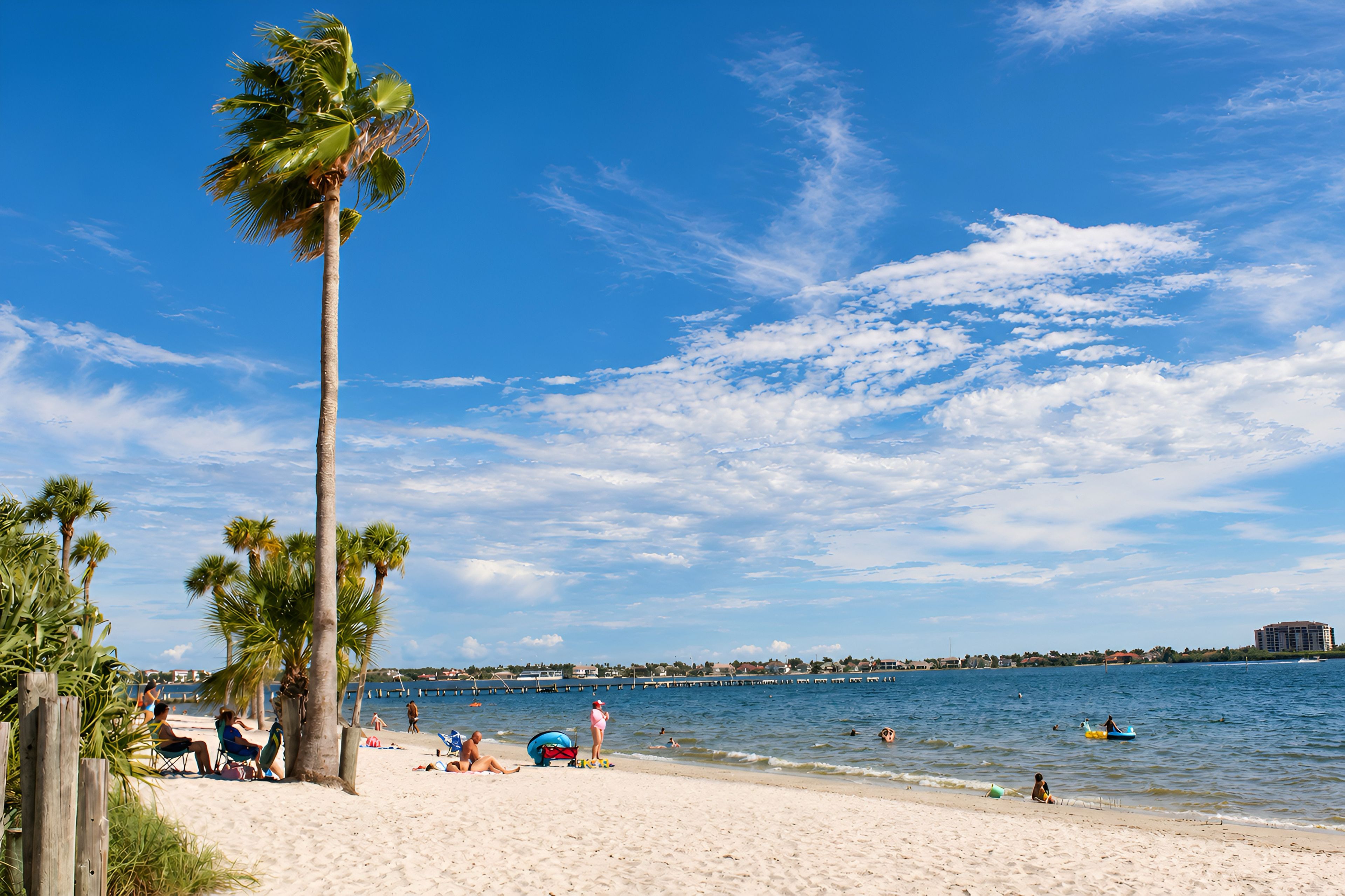 A beach with palm trees, a clear sky, and a calm sea.