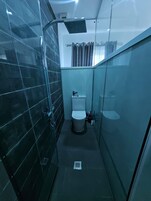 A modern bathroom with a glass shower enclosure, a toilet, and a sink.