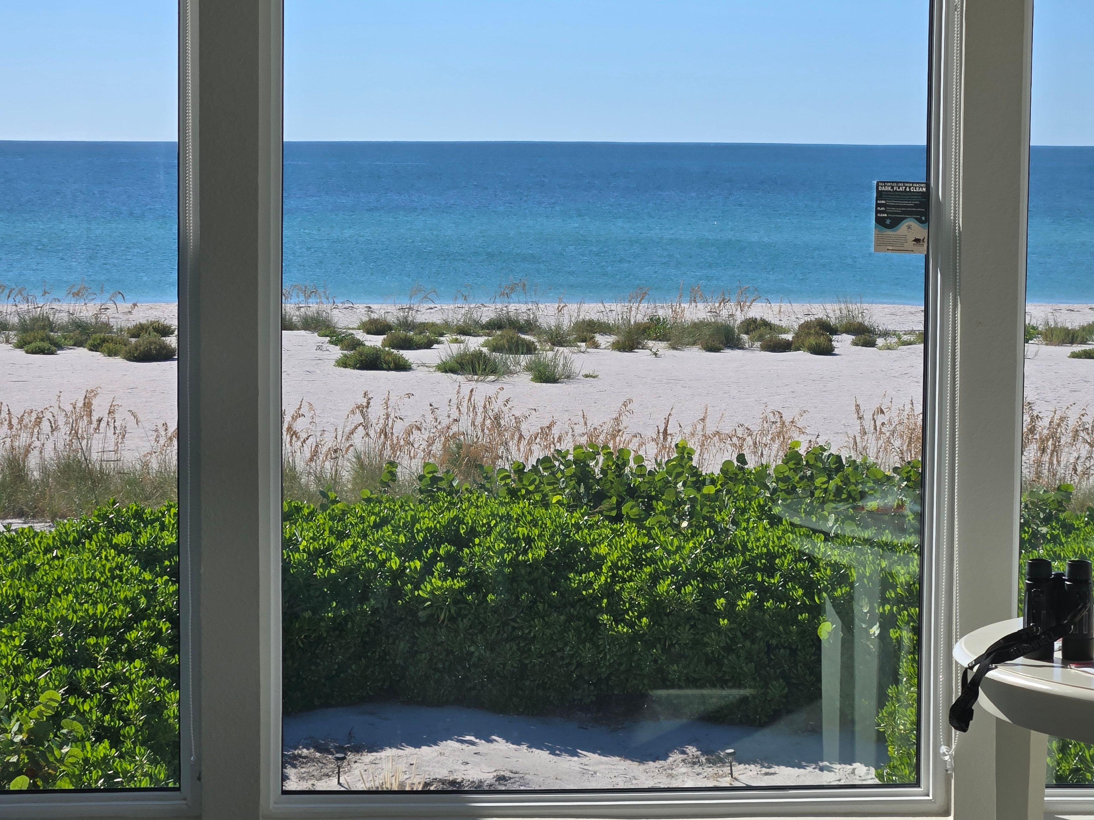 A window view of a beach with sand, sea, and vegetation.