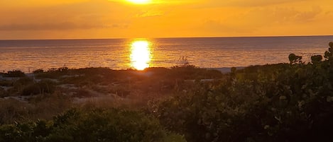 Un coucher de soleil sur une étendue d’eau, avec de la végétation au premier plan.