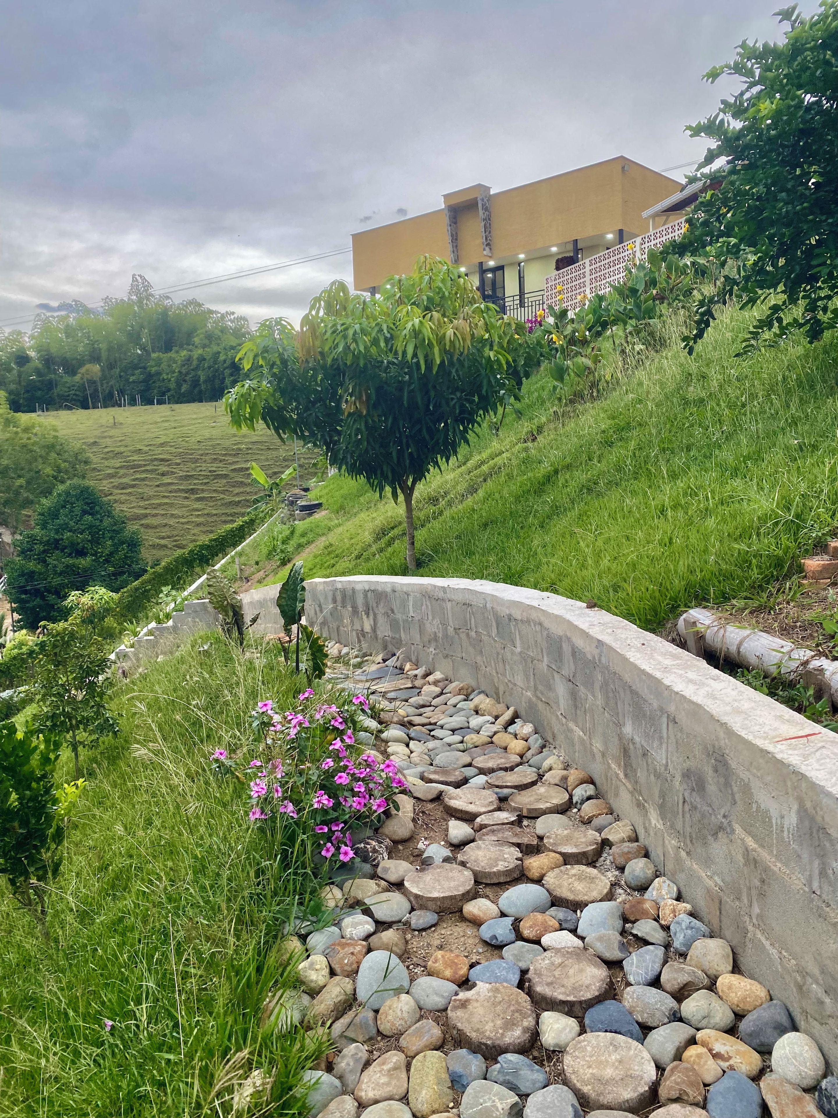 A landscaped area with a curved concrete wall, a variety of rocks, and a small tree with pink flowers.