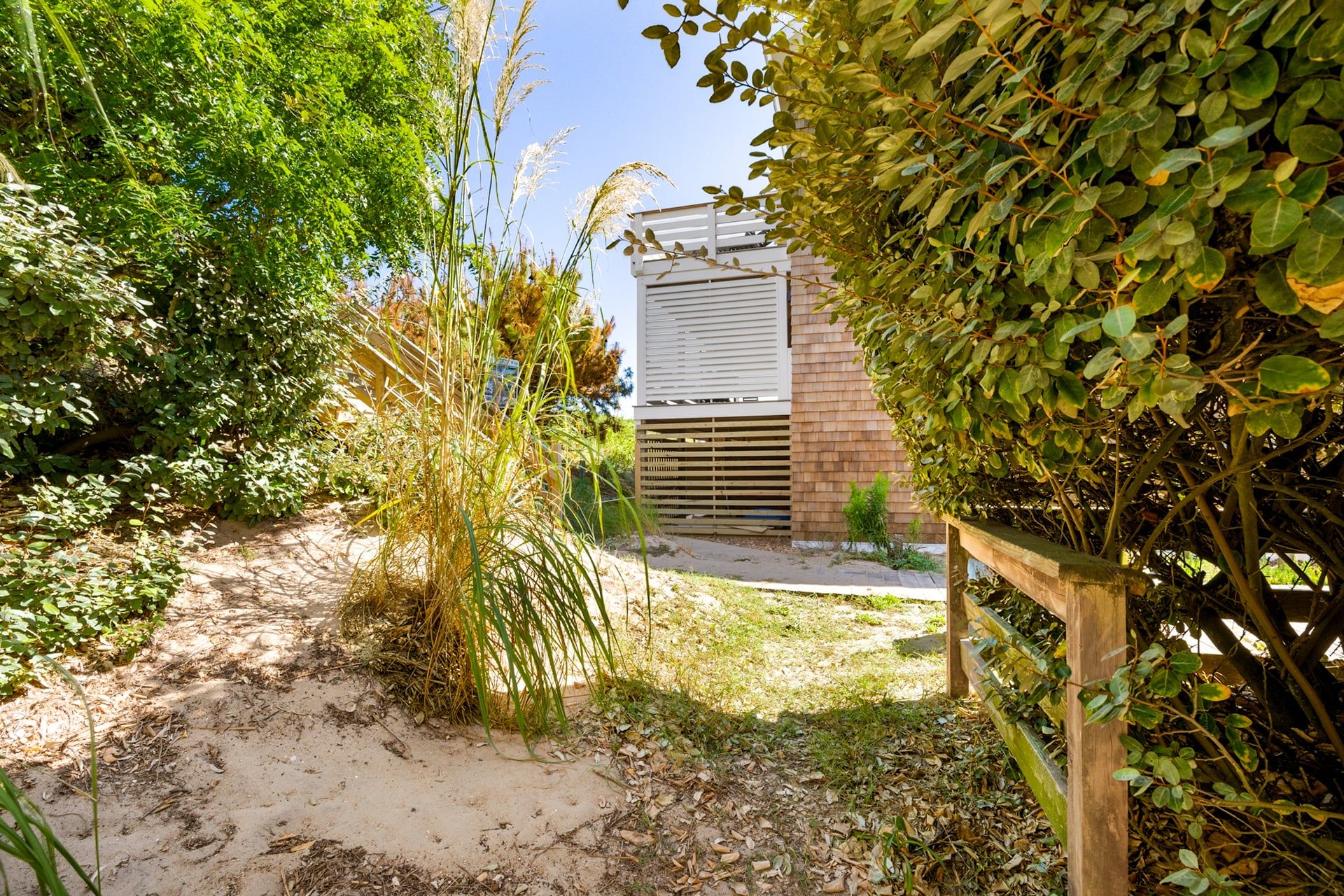 A pathway leading to a building with a modern design, surrounded by dense greenery and a wooden fence.