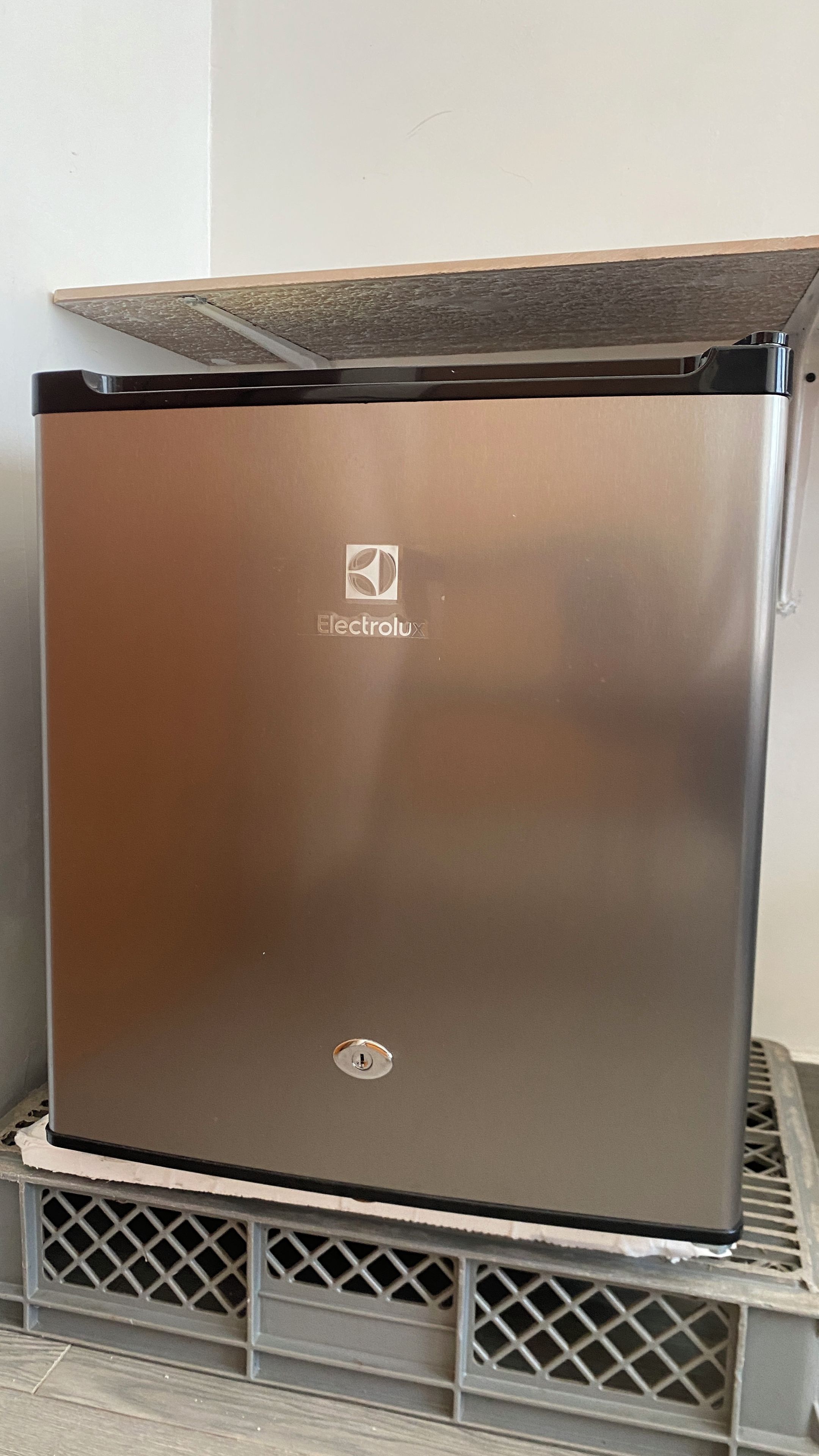 Ein Edelstahl-Kühlschrank mit dem Electrolux-Logo, platziert auf einer Metallkiste.