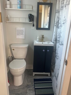 A bathroom with a toilet, a sink, a mirror, and a shower curtain with a nautical print.