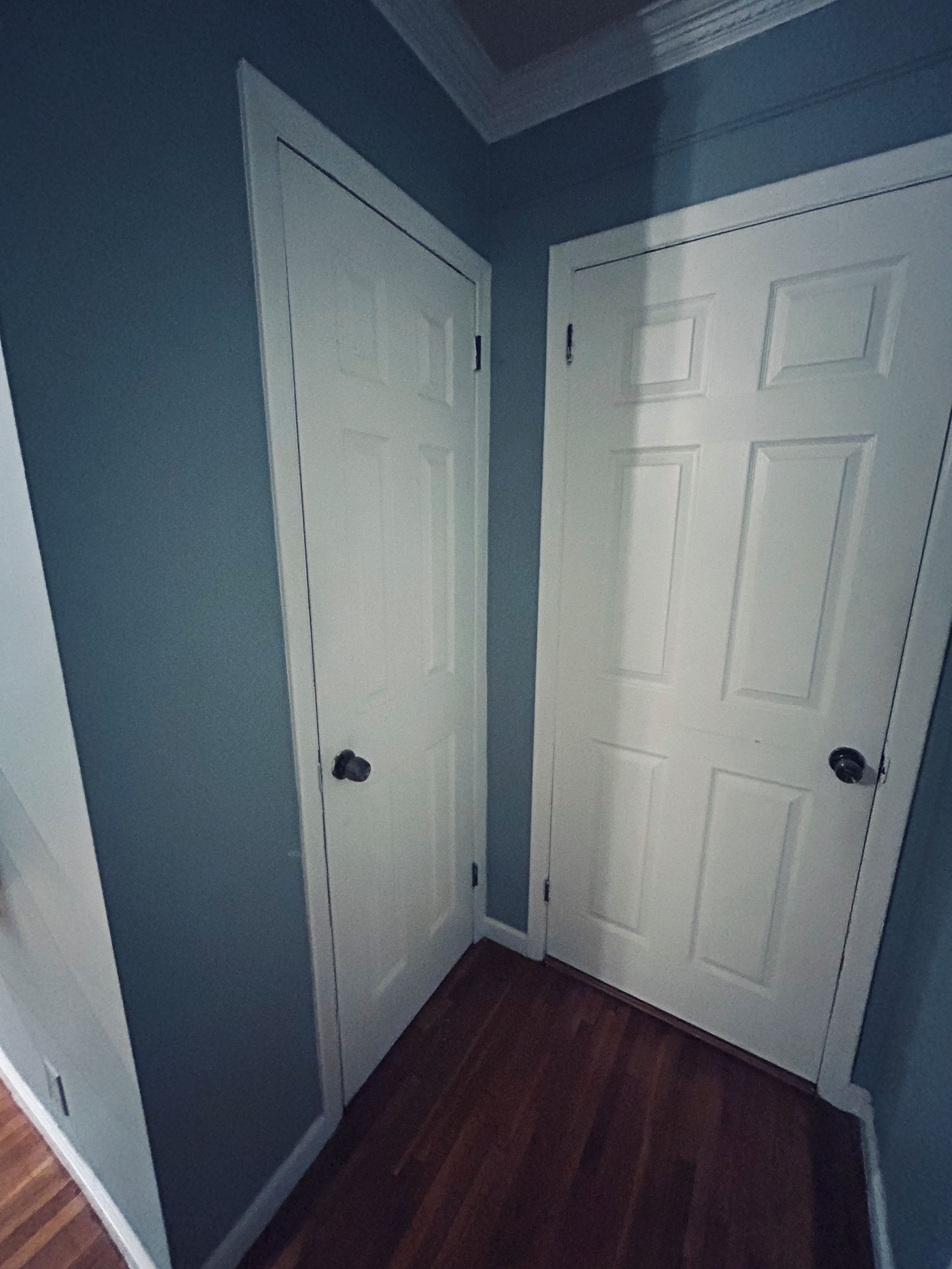 A hallway with two white doors and a wooden floor.