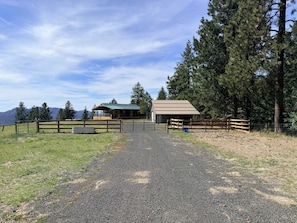 A gravel driveway leading to a building with a green roof, surrounded by a wooden fence and tall trees.