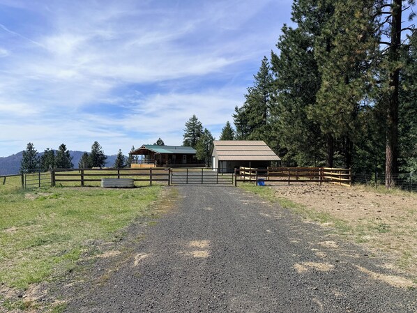 A gravel driveway leading to a building with a green roof, surrounded by a wooden fence and tall trees.