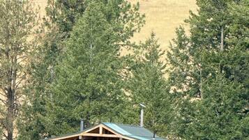A wooden cabin with a porch, surrounded by trees and a hill in the background.