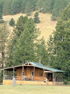 A wooden cabin with a porch, surrounded by trees and a hill in the background.