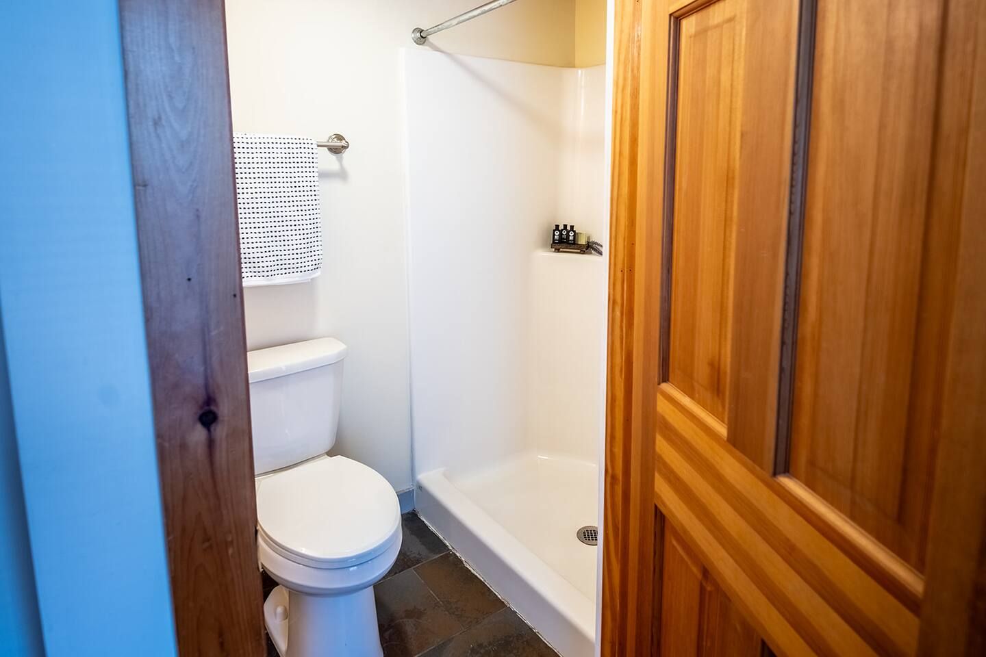 A bathroom with a toilet, a shower, and a wooden door.