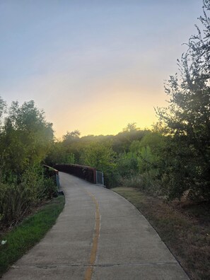 A concrete pathway curving through a natural landscape with dense foliage on both sides and a bridge in the distance. - Comfy 2-bedroom townhome in East Austin. Huge back yard! (Austin)