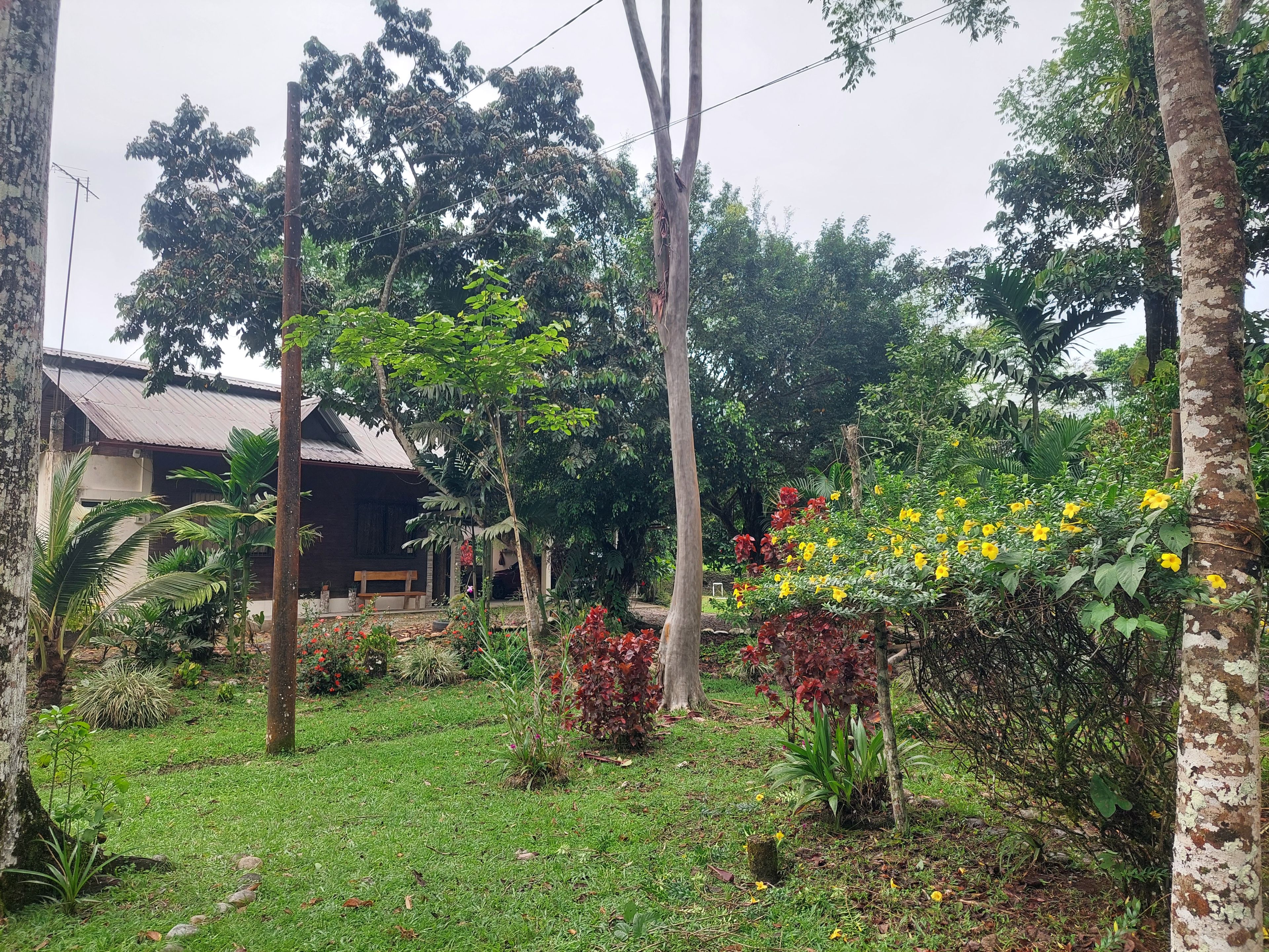 Un jardin avec une variété de plantes et d’arbres, une maison en bois et un banc.