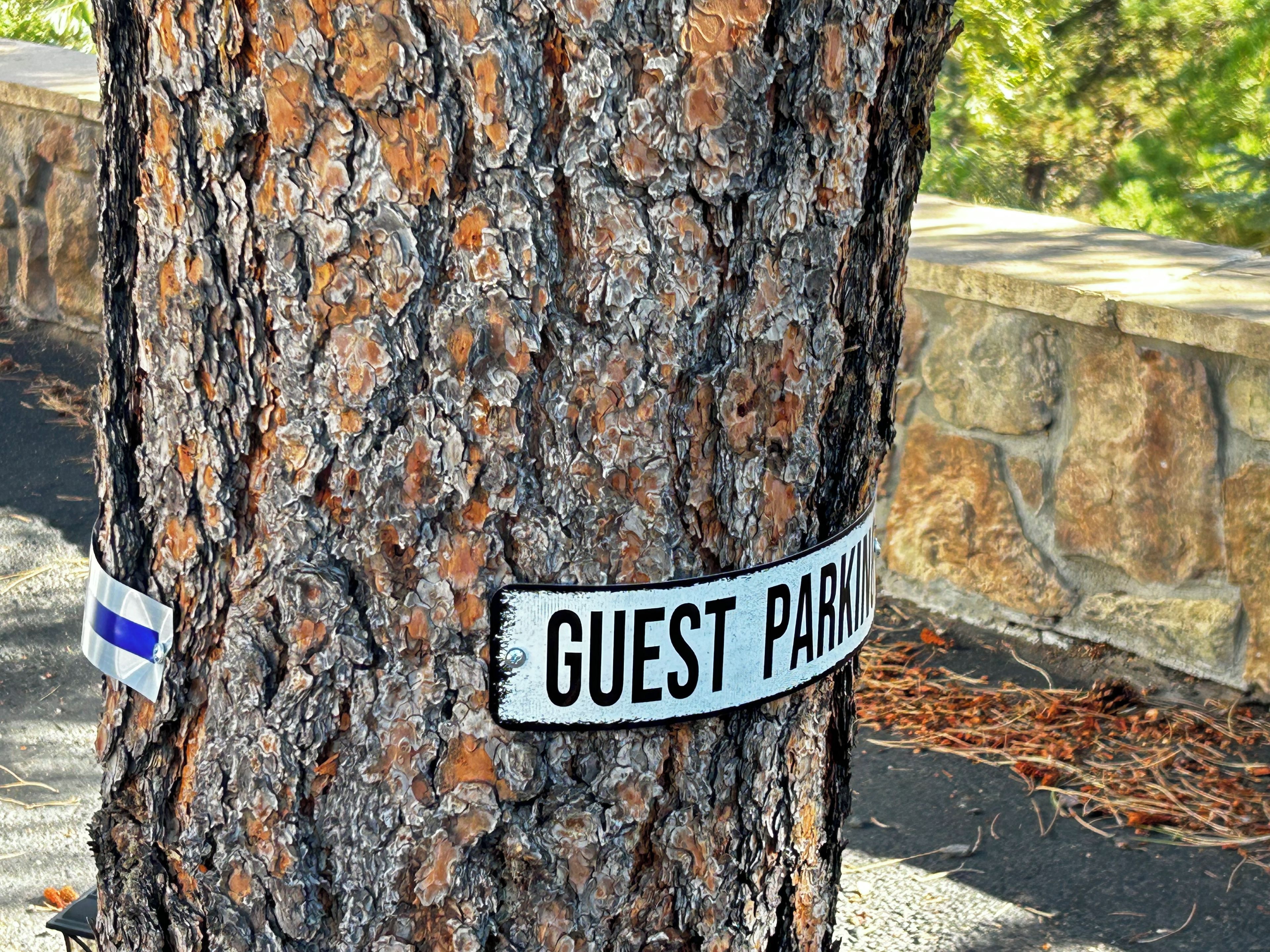 A tree with a sign that reads 'GUEST PARKING' attached to it.