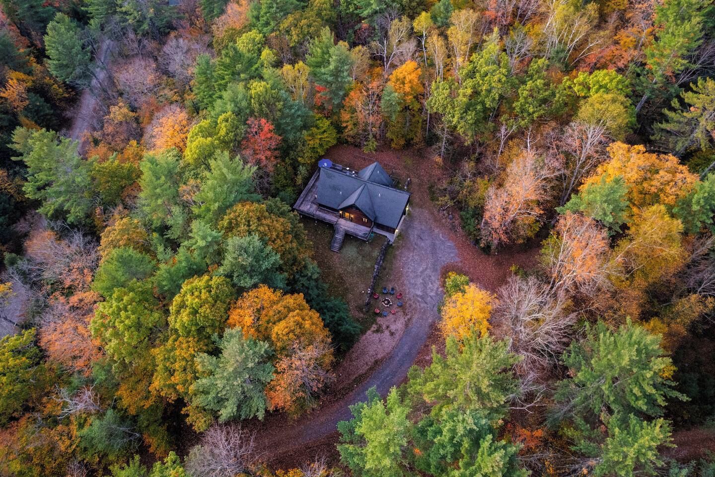 Eine Vogelperspektive zeigt eine Hütte, umgeben von dichtem Wald, mit einem gewundenen Pfad, der dorthin führt.
