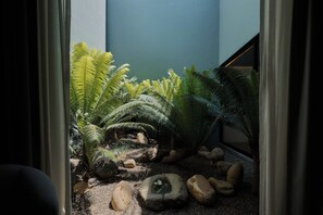 A small indoor garden with ferns and rocks. - Artistic Oasis in Oaxaca's Historic Center (Oaxaca de Juárez)