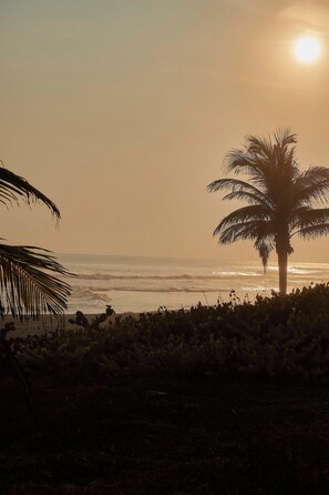 A beach scene with a palm tree and ocean waves.