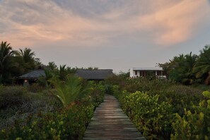 A wooden pathway leading to a building surrounded by lush vegetation and palm trees.