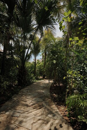 A stone pathway surrounded by dense tropical foliage. - Private beachfront estate in the Oaxacan jungle (Puerto Escondido)