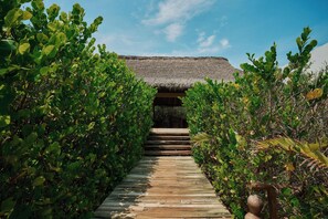 A wooden pathway leading to a thatched-roof structure surrounded by dense greenery.