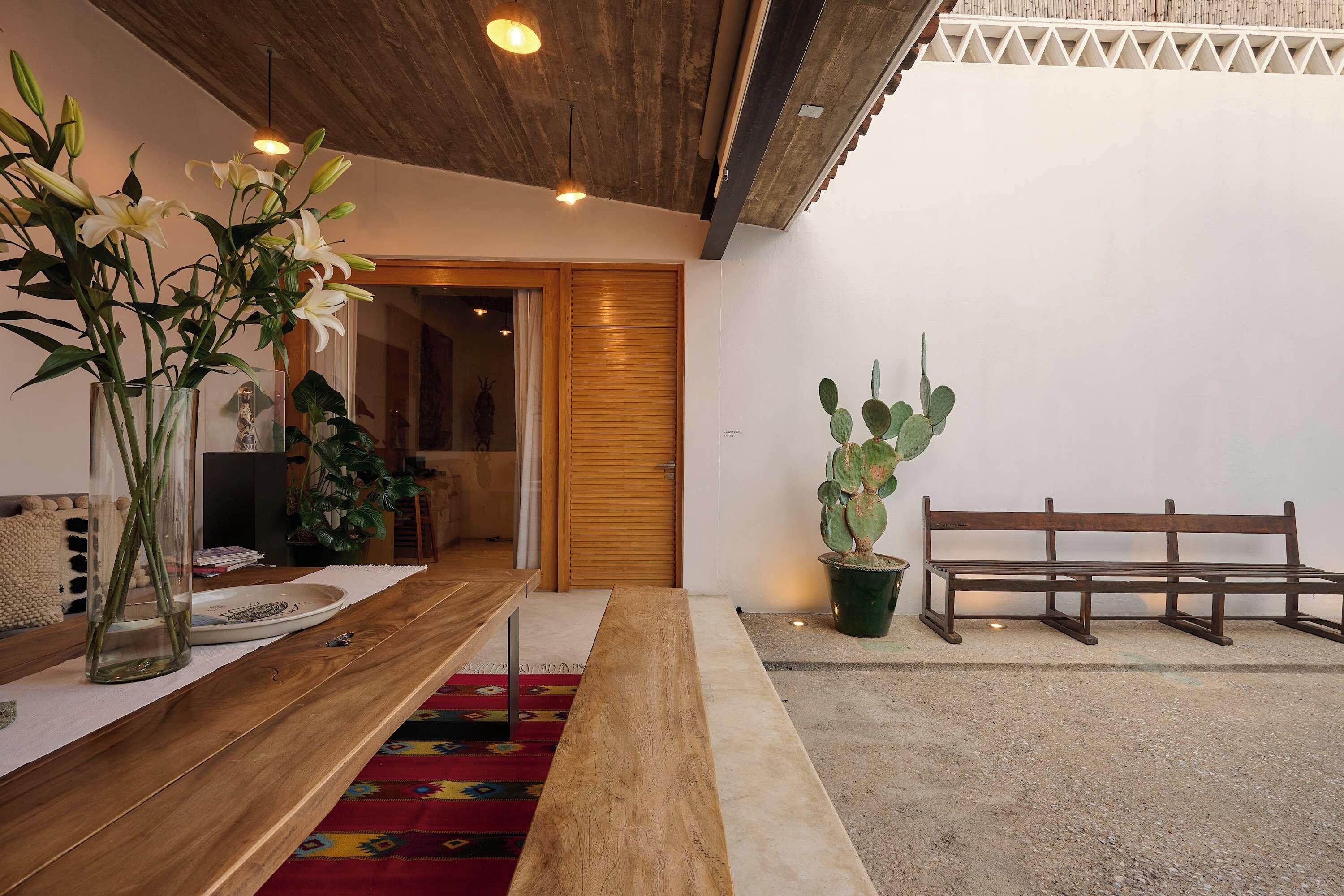 A room with a wooden bench, a cactus plant, and a vase with flowers.