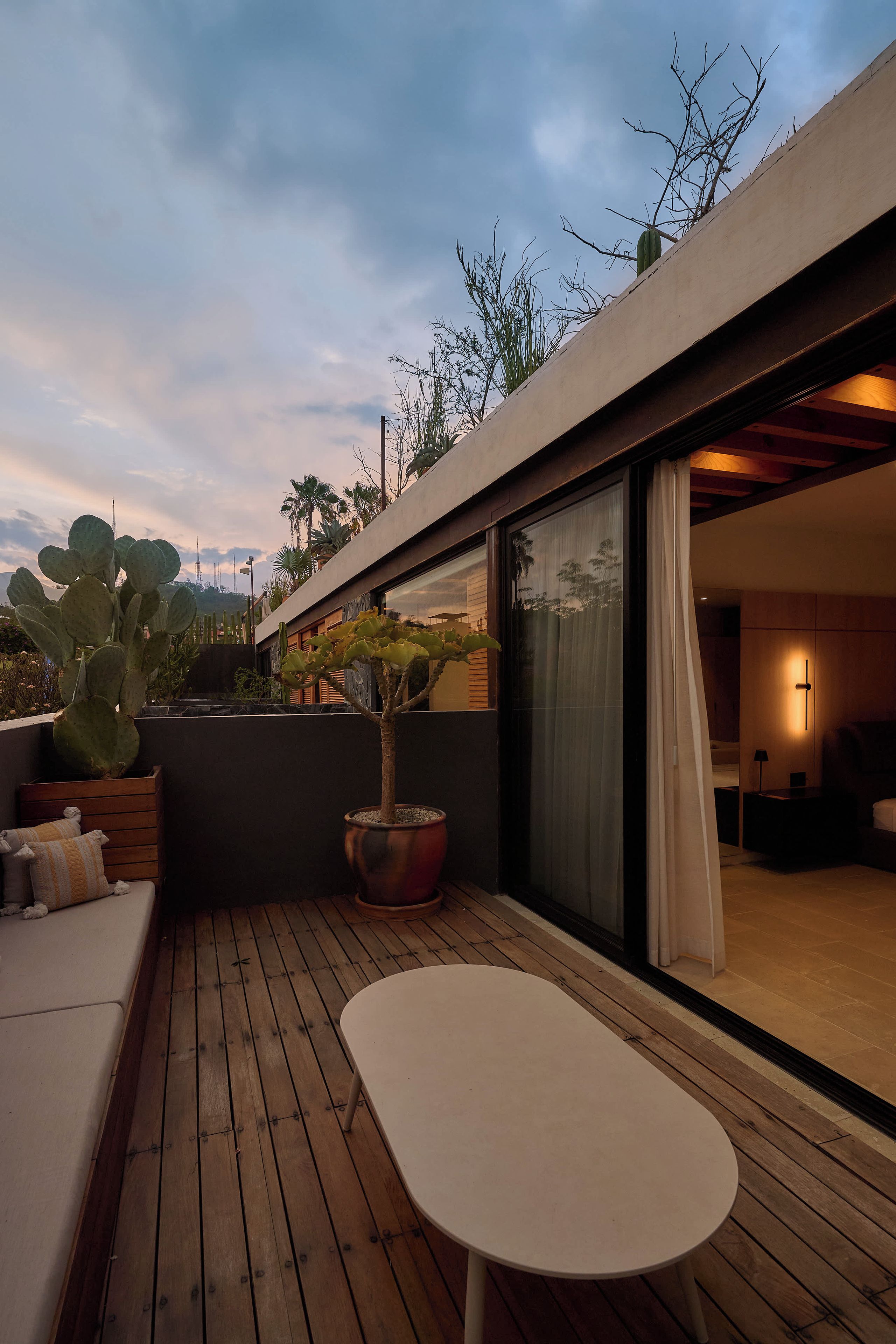 A modern outdoor space with a wooden deck, a white table, and various potted plants including a large cactus.