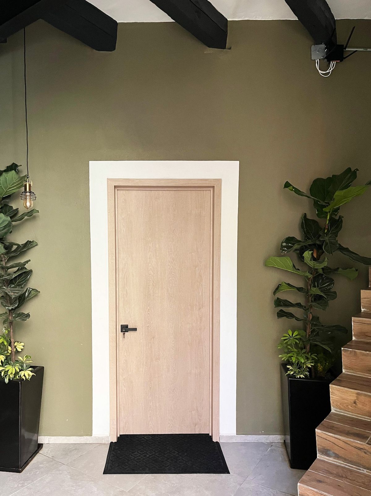 Une porte en bois avec une poignée noire, flanquée de deux plantes en pot, et un paillasson noir à l’entrée.