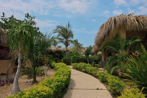 A pathway leading through a tropical garden with palm trees and thatched-roof structures. - Casa Juliana · Private suite · Beachfront property (Puerto Escondido)