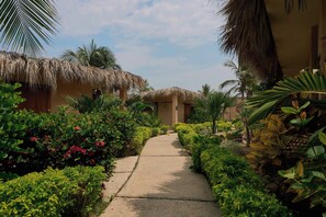 A pathway leading to a building with thatched roofs, surrounded by lush greenery and tropical plants. - Casa Juliana · Private suite · Beachfront property (Puerto Escondido)