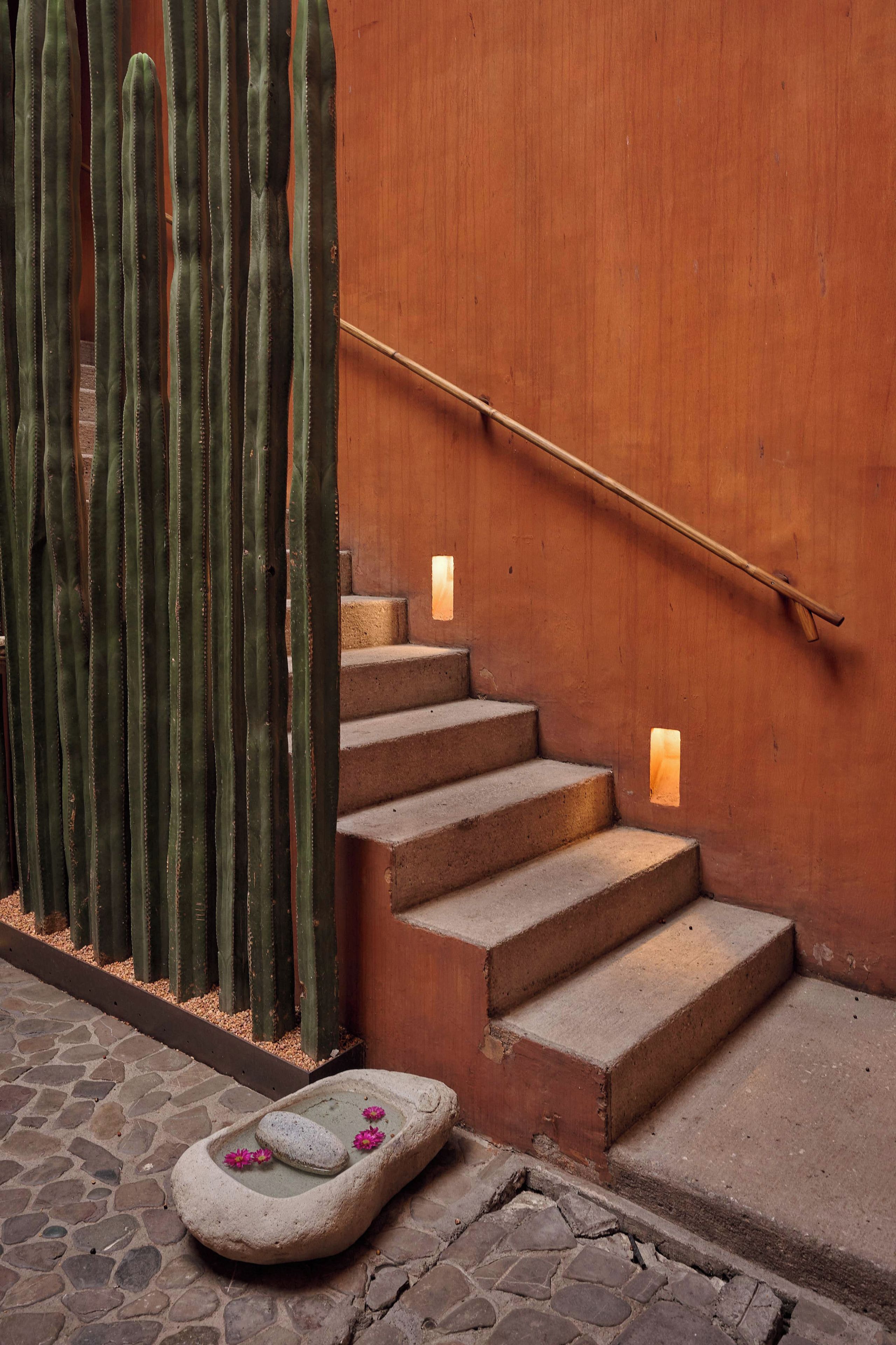 Una escalera con barandilla de madera, un muro de cactus y una fuente de piedra con flores.