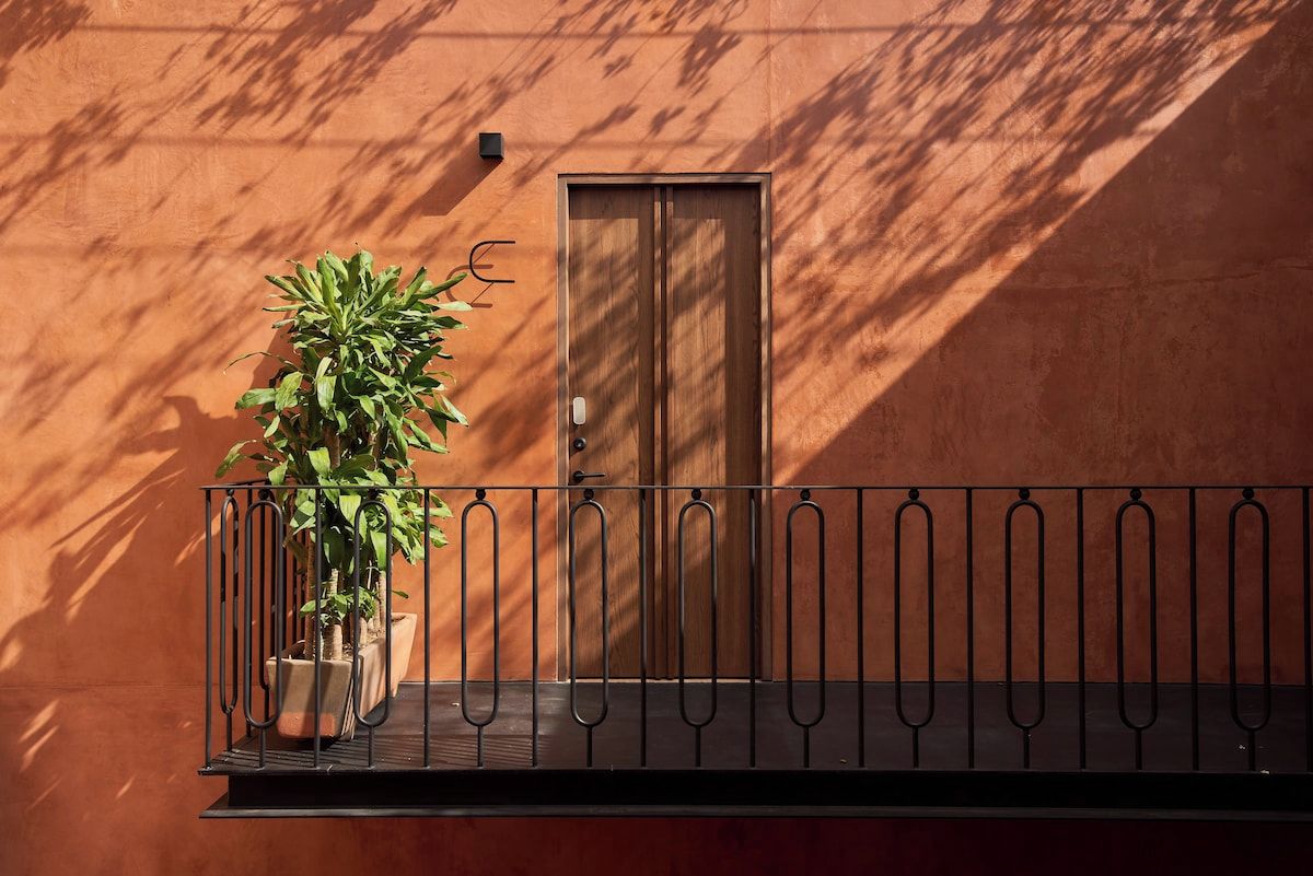 Un balcón con una planta en maceta y una puerta.