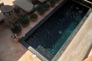 A rectangular pool with a dark water surface, surrounded by potted plants and lounge chairs. - Ocean View Suite w/ Rooftop & Pool Access (Puerto Escondido)