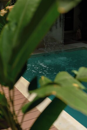 A swimming pool with a waterfall feature, surrounded by plants. - Suite in La Punta, a minute from the sand (Puerto Escondido)