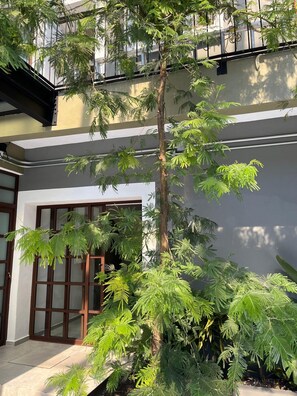 A building with a large window and a door, surrounded by greenery.
