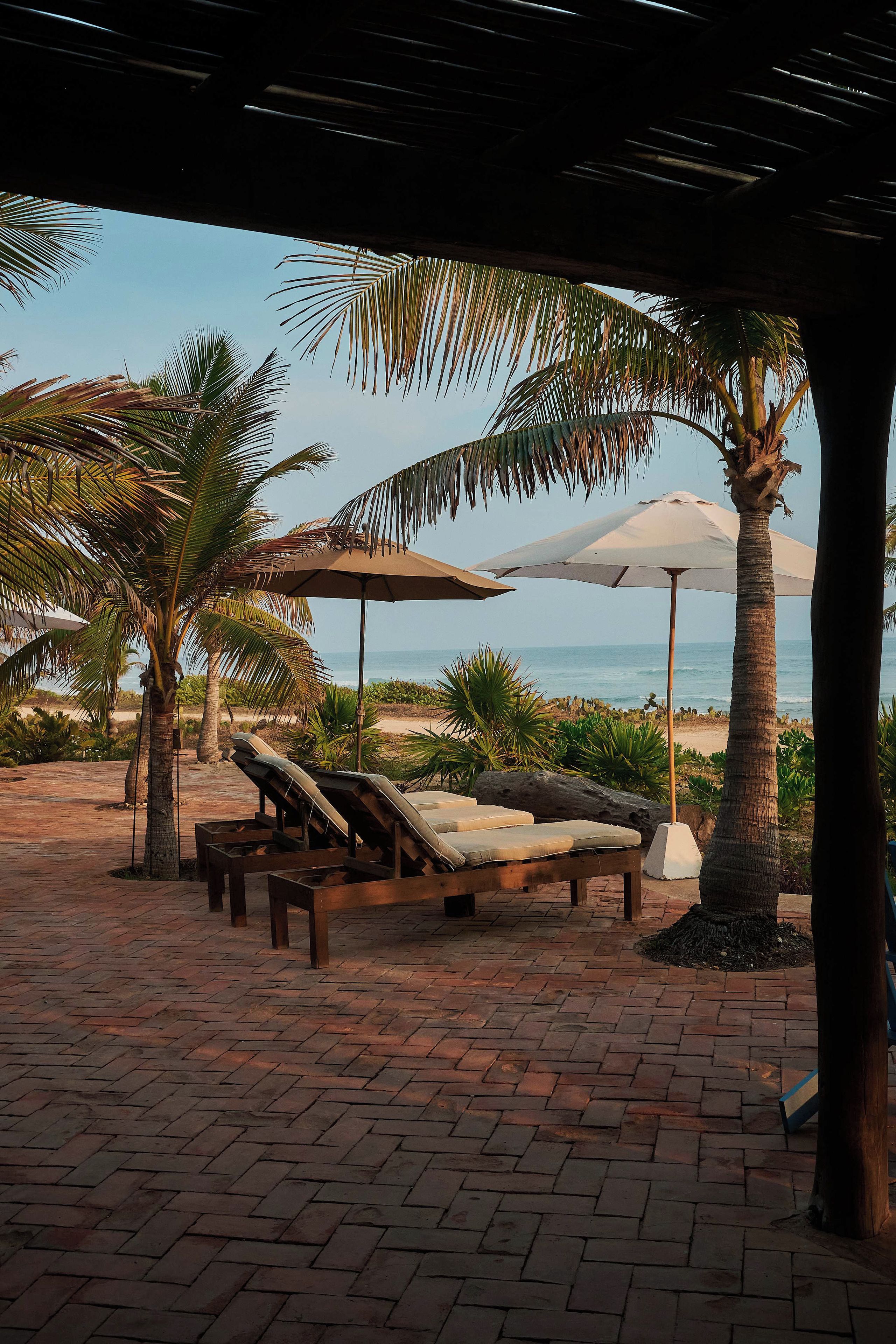 A beachside lounge area with sun loungers and umbrellas, palm trees, and a view of the ocean.