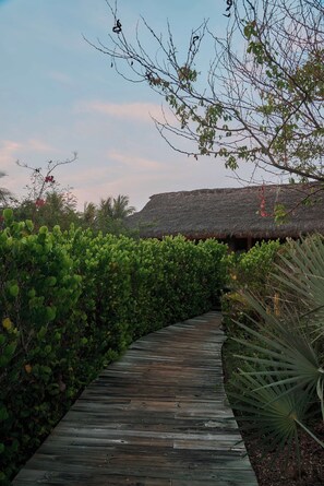 A wooden pathway leading to a thatched-roof structure surrounded by dense greenery.
