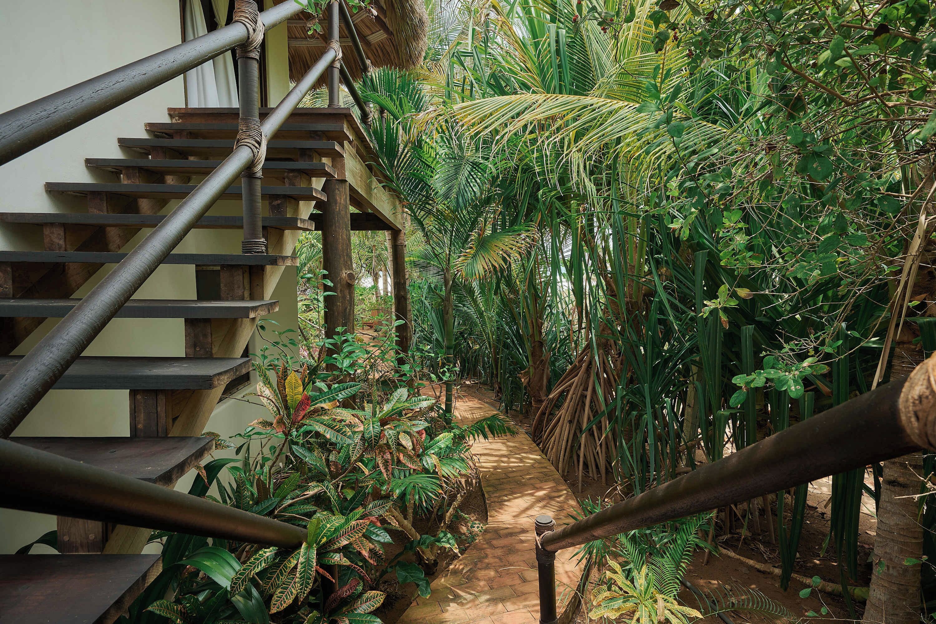 Eine Holztreppe mit Metallgeländern führt durch einen üppigen Gartenweg.