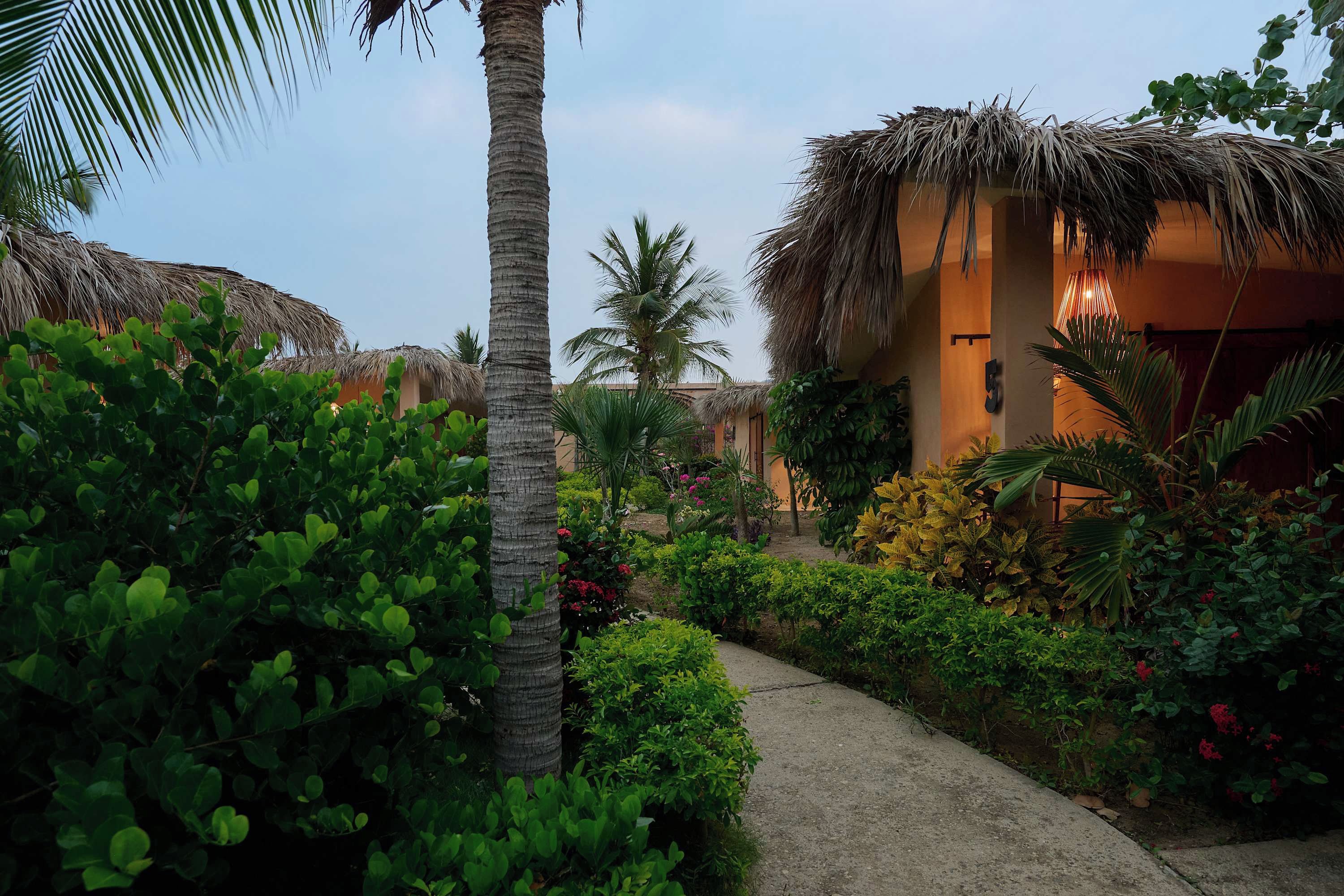 A tropical resort with thatched-roof buildings, lush greenery, and a paved walkway.