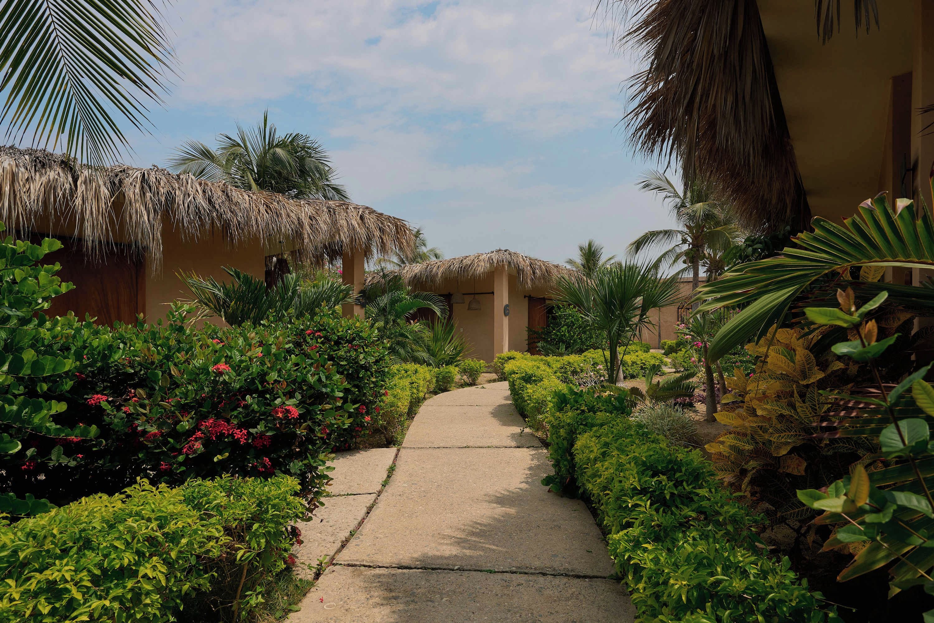 A pathway leading to a building with thatched roofs, surrounded by lush greenery and tropical plants.