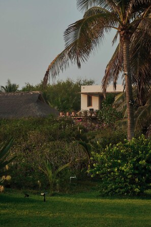 A house with a thatched roof, surrounded by lush greenery and a palm tree. - Full Beachfront Estate · Jungle & Pacific (Puerto Escondido)