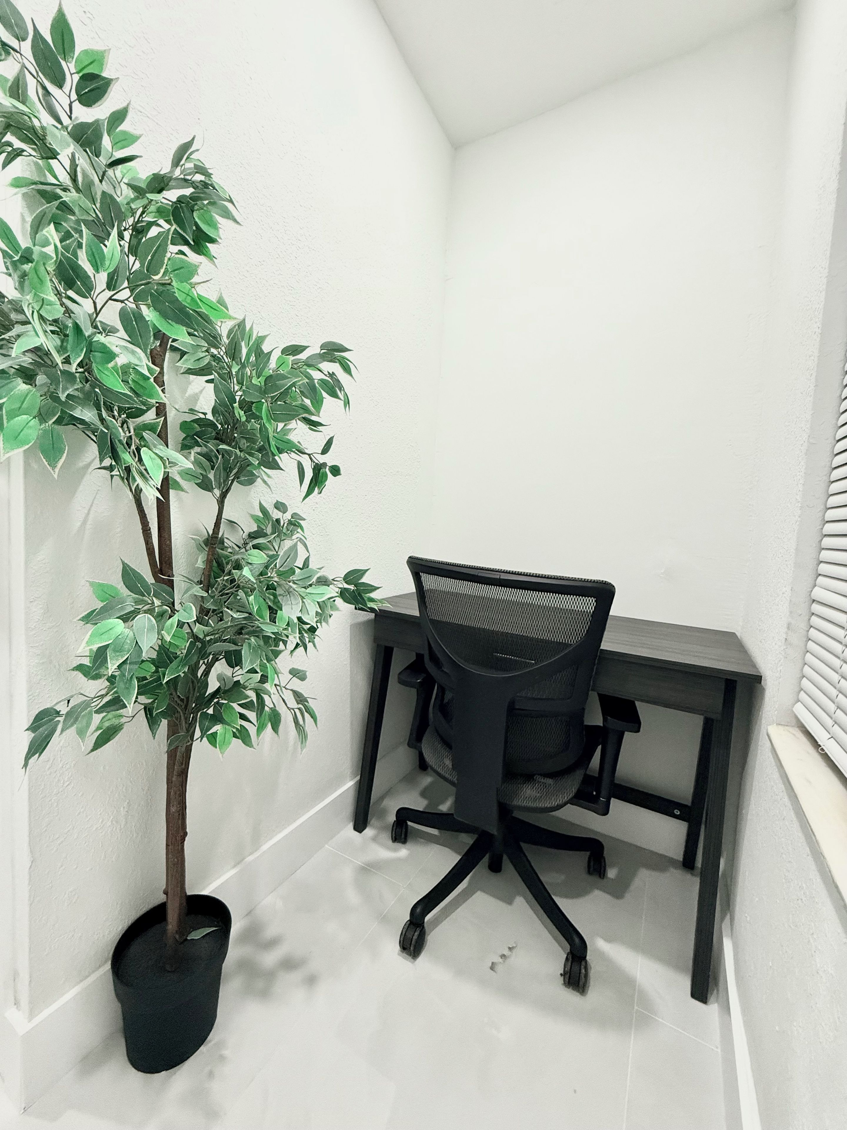 A corner office with a black desk and chair, a potted plant, and white walls.