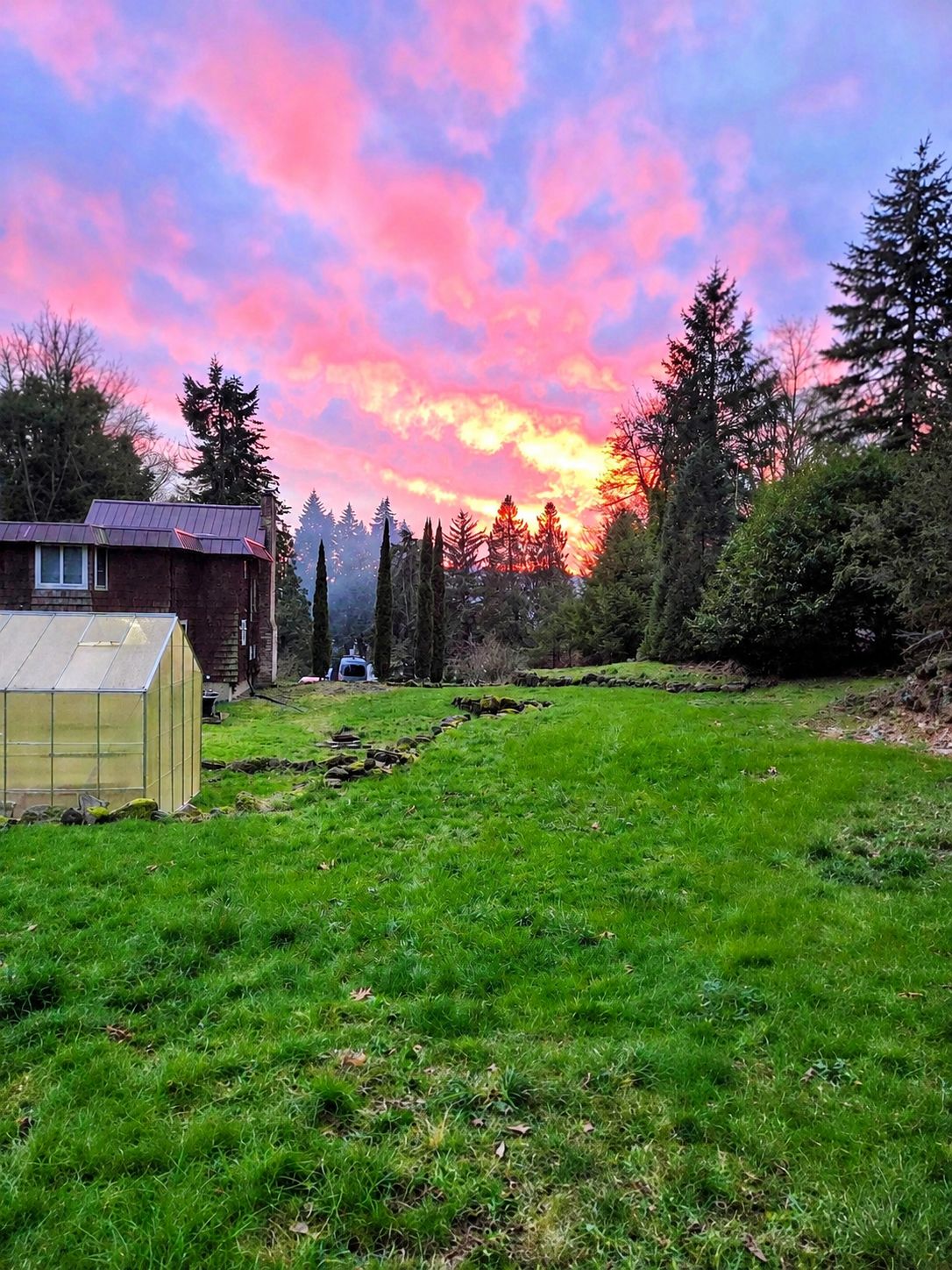 Une cour verdoyante avec une serre, un chalet en bois et une rangée d’arbres.